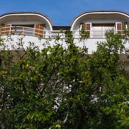 Apartman Vjekoslav Krk Town Dış mekan fotoğraf